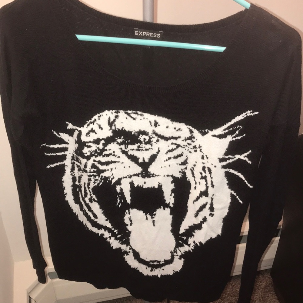 Express sweater